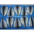 Chinese Export Frozen Fish Mackerel Flaps Butterfly Mackerel